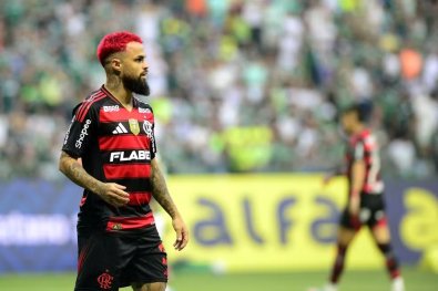 michael flamengo.jpg
