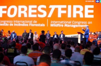 FOREST FIRE (1).jpg