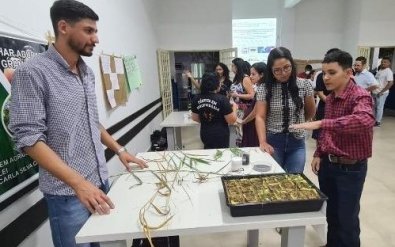 mostra-seciteci.jpg