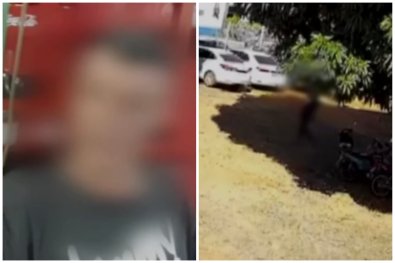 tarado tangara.jpg