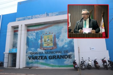 Adilson Luiz Mayer de Arruda - Adilsinho