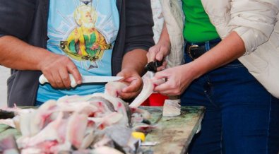 MUTIRAO LIMPEZA PEIXE1.jpg