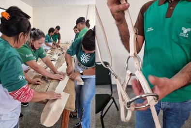 OFICINAS EXPOAGRO