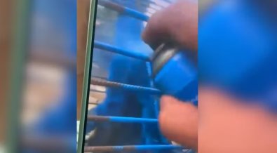 MACACO AZUL.jpg