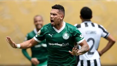 Paulinho Palmeiras