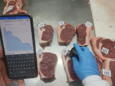 Carne IA