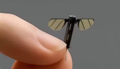 drone-mosquito-china.jpg