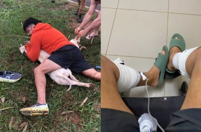 ATAQUE  PITBULL.jpg