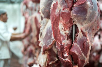 CARNE BOVINA.jpg