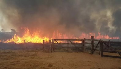 INCENDIO FAZENDA.jpg