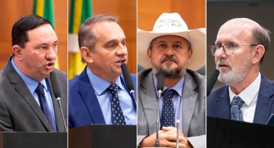 DEPUTADOS CPI CONTORNO LESTE.jpg