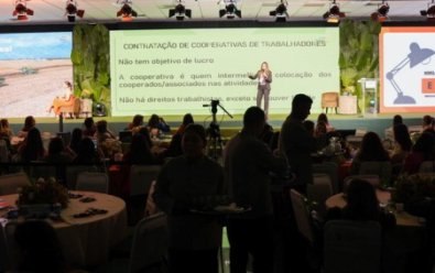 elas no campo.jpg
