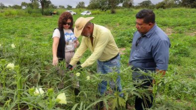 Agricultura familiar
