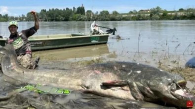 PEIXE GIGANTE.jpg
