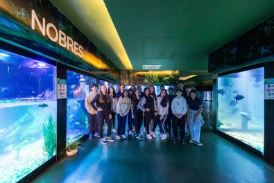 visita aquario