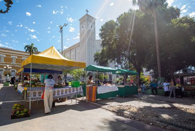 feira familiar.jpg