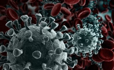 CORONAVIRUS.jpg