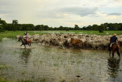 PRODUTORES RURAIS