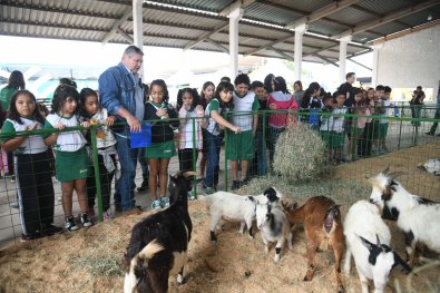 MINI FAZENDA EXPOAGRO