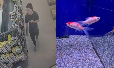 HOMEM PETSHOP.jpg