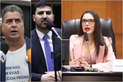pinheiros - janaina riva.jpg