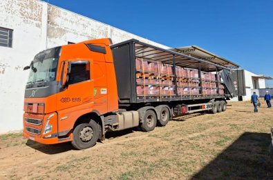 agrotixicos destruidos