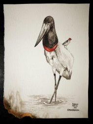 arte-cinzas-pantanal2.jpg