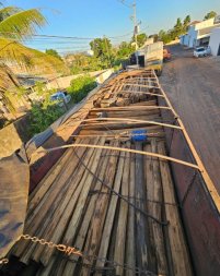 TRANSPORTE IRREGULAR DE MADEIRAS.jpg