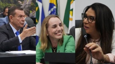DEPUTADOS CAMARA.jpg