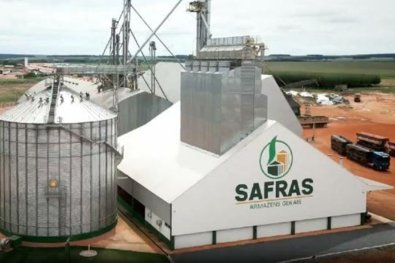 safras