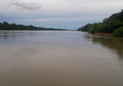 cocalinho.jpg