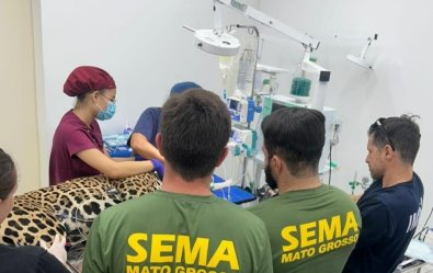 CAPACITACAO SEMA1.jpg