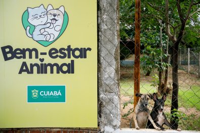 Bem Estar Animal