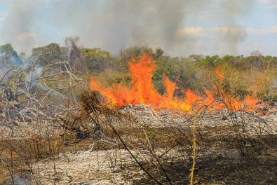 incendio area rural