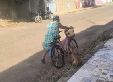 MULHER ARRASTANDO CACHORRO.jpg