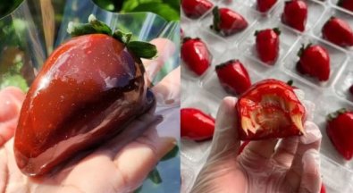 morango do amor.jpg