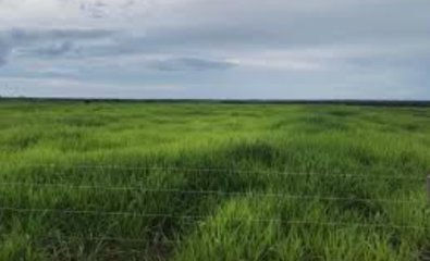 fazenda-pasto.jpg