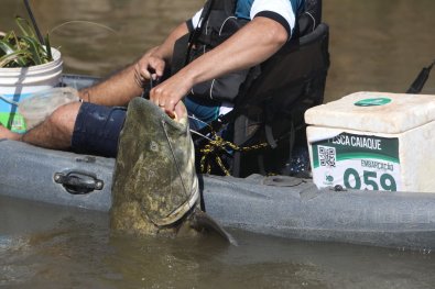 FESTIVAL DE PESCA ESPORTIVA