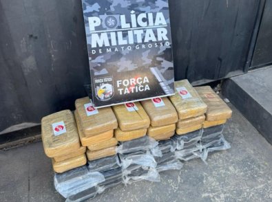 tabletes de maconha apreendidos.jpg