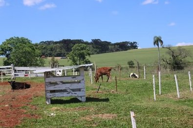 SITIO.jpg