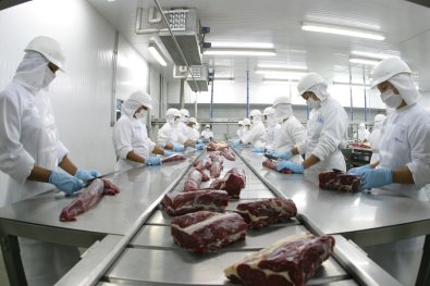 carne-exportacao.jpg