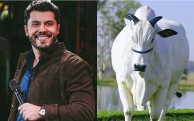 MURILO-VACA.jpg