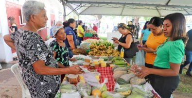 feira da familia vg.jpg