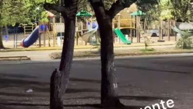 morto praca.jpg