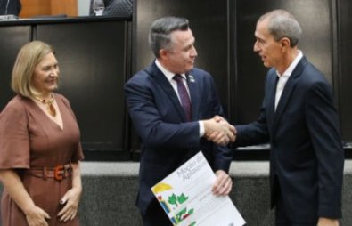 HOMENAGEM ALMT.jpg