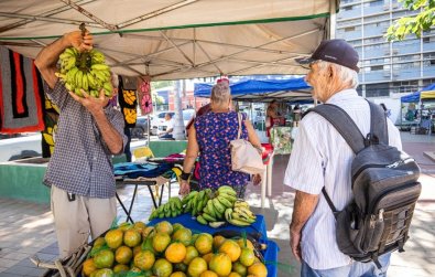 feira praca alencastro.jpg