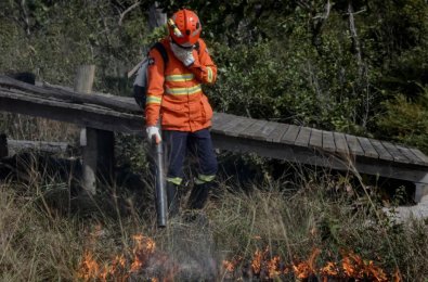 BOMBEIROS.jpg