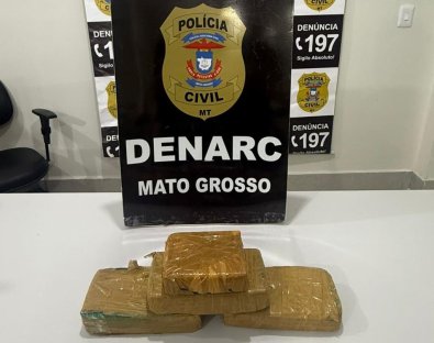 drogas, gravida, pernambuco 